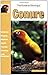The Guide to Owning a Conure