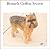 Brussels Griffon Secrets: How to Raise Happy and Healthy Brussels Griffons