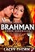 Brahman (Demon Chronicles Series, Book Three)