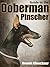 Guide to the Doberman Pinscher