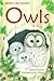 Owls by Sarah Courtauld