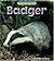 Badger (Wild Britain)