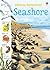 Seashore (Spotter's Sticker Books)