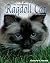 The Friendly Floppy Ragdoll Cat: Abridged Edition