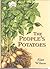 The Story of the Potato Through Illustrated Varieties