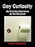 Gay Curiosity