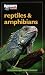 Reptiles and Amphibians by F. Wayne King
