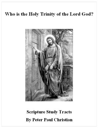 Who is the Holy Trinity of the Lord God? (Kindle Edition)