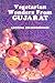 Vegetarian Wonders from Guj...