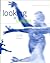 Looking at Dances: Choreological Perspective on Choreography