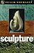 Sculpture (Teach Yourself Arts & Crafts)