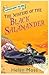 The Mystery of the Black Salamander (Adventure Island #12)