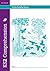KS2 Comprehension Book 4 by Celia Warren