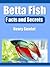 Betta Fish Facts and Secrets