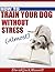 HOW TO TRAIN YOUR DOG WITHOUT STRESS (ALMOST)