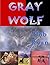 GRAY WOLF