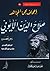 إجحاف بحق المجاهد صلاح الدين الأيوبي رجل عصره