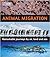 Animal Migration