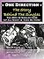 One Direction - The Story Behind The Singles by Richard Grainger