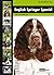 English Springer Spaniel (Dog Breed Expert Series)
