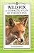 Wild Fox by Roger Burrows