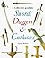 Collectors Guide to Swords Daggers and Cutlasses