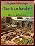 Book of Church Archaeology by Warwick Rodwell