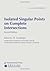 Isolated Singular Points on...