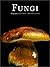 Fungi (Evergreen)