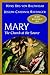 Mary: The Church at the Source