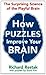 How Puzzles Improve Your Brain: The Surprising Science of the Playful Brain