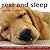 Rest and Sleep age 8 years and over Helps Children Drift Off ... by Lynda Hudson