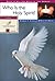 Who Is the Holy Spirit? by Ruth E. van Reken Who Is the Holy Spirit? by Ruth E. van Reken