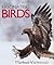 Fascinating Birds