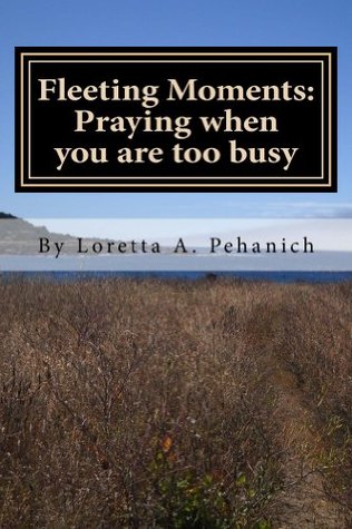 Fleeting Moments: Praying When You Are Too Busy (Kindle Edition)