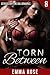 Torn Between 8: Seduced by the Billionaires (A Billionaire Adult Novella)