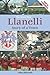 Llanelli: Story of a Town