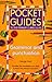 Grammar and Punctuation (Pocket Guides to the Primary Curriculum)