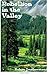 Rebellion in the Valley by Robyn Leatherman