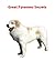 Great Pyrenees Secrets