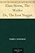 Elam Storm, The Wolfer Or, The Lost Nugget