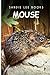 Mouse - Sandie Lee Books (children's animal books age 4-6, wildlife photography, animal books nonfiction)