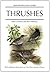 Thrushes (Helm Identification Guides)