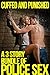 Cuffed and Punished: A 3 Story Bundle of Police Sex