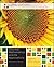 Discrete Mathematics and its Applications