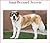 Saint Bernard Secrets: How ...