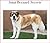 Saint Bernard Secrets: How to Raise Happy and Healthy St. Bernards