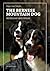 THE Bernese Mountain DOG Yesterday and Today