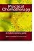 Practical Chemotherapy - A Multidisciplinary Guide: A multidisciplinary guide