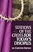 Stations of the Cross for Today's Disciples (Praying the Stations)